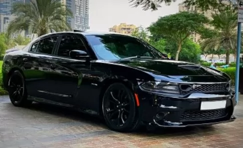 Brand New Dodge Charger For Rent in Dubai #17229 - 1  image 